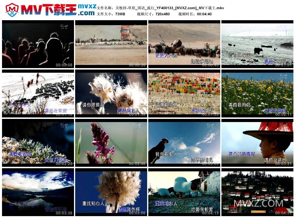 关牧村-草原_国语_流行_YF400133